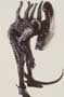 Alien: Resurrection - 8 x 10 Color Photo #1