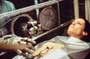 Alien: Resurrection - 8 x 10 Color Photo #4