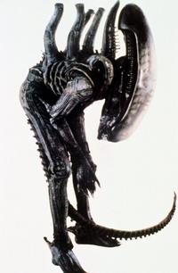 Alien: Resurrection - 8 x 10 Color Photo #1