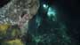 Aliens of the Deep - 8 x 10 Color Photo #19