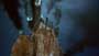 Aliens of the Deep - 8 x 10 Color Photo #28