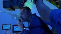 Aliens of the Deep - 8 x 10 Color Photo #5