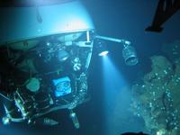 Aliens of the Deep - 8 x 10 Color Photo #15