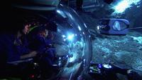 Aliens of the Deep - 8 x 10 Color Photo #27