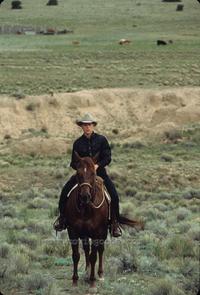 All the Pretty Horses - 8 x 10 Color Photo #3