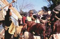 Allan Quatermain and the Lost City of Gold - 8 x 10 Color Photo #4