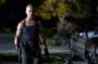 Alpha Dog - 8 x 10 Color Photo #7