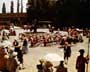 Amadeus - 8 x 10 Color Photo #2