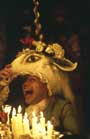 Amadeus - 8 x 10 Color Photo #6