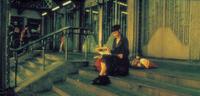 Amelie - 8 x 10 Color Photo #9