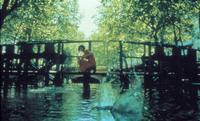 Amelie - 8 x 10 Color Photo #2