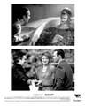 American Beauty - 8 x 10 B&W Photo #5