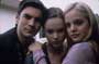 American Beauty - 8 x 10 Color Photo #6
