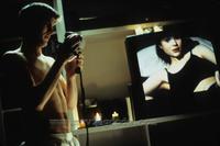 American Beauty - 8 x 10 Color Photo #5