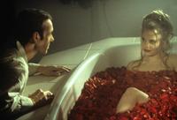 American Beauty - 8 x 10 Color Photo #8