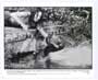 Anaconda - 8 x 10 B&W Photo #1