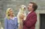 Anchorman: The Legend of Ron Burgundy - 8 x 10 Color Photo #15
