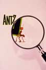 Antz - 8 x 10 Color Photo #50
