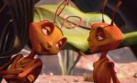 Antz - 8 x 10 Color Photo #8