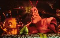 Antz - 8 x 10 Color Photo #12