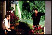 Any Given Sunday - 8 x 10 Color Photo #1