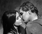 The Appaloosa - 8 x 10 B&W Photo #7