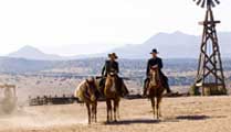 Appaloosa - 8 x 10 Color Photo #4