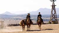 Appaloosa - 8 x 10 Color Photo #4