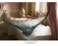 Aquamarine - 8 x 10 Color Photo #12