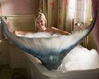Aquamarine - 8 x 10 Color Photo #13