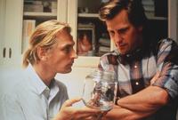 Arachnophobia - 8 x 10 Color Photo #8