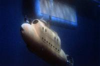 Around the World Under the Sea - 8 x 10 Color Photo #1