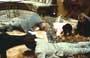 Assassination - 8 x 10 Color Photo #7