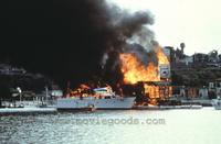 Assassination - 8 x 10 Color Photo #5