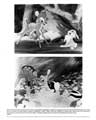 Bambi - 8 x 10 B&W Photo #14