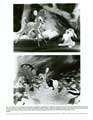 Bambi - 8 x 10 B&W Photo #2