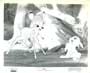 Bambi - 8 x 10 B&W Photo #2
