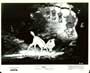 Bambi - 8 x 10 B&W Photo #4