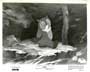 Bambi - 8 x 10 B&W Photo #6