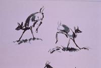 Bambi - 8 x 10 B&W Photo #7