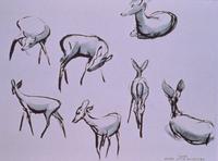 Bambi - 8 x 10 B&W Photo #8