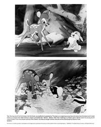 Bambi - 8 x 10 B&W Photo #14
