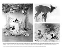 Bambi - 8 x 10 B&W Photo #16