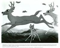 Bambi - 8 x 10 B&W Photo #1