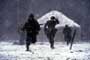 Band of Brothers - 8 x 10 Color Photo #4