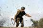 Band of Brothers - 8 x 10 Color Photo #18