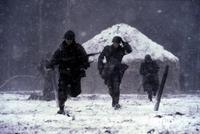 Band of Brothers - 8 x 10 Color Photo #4