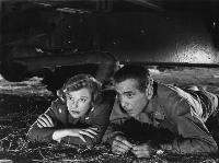 Battle Circus - 8 x 10 B&W Photo #16