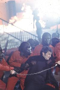 Battle for the Planet of the Apes - 8 x 10 Color Photo #5