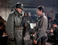 Battle of the Bulge - 8 x 10 Color Photo #1